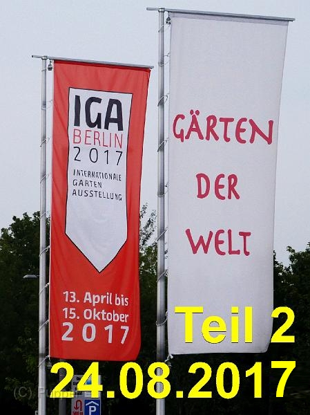 A IGA 2017 -2--